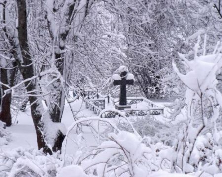 В Светлогорске мужчина умер на могиле своей жены